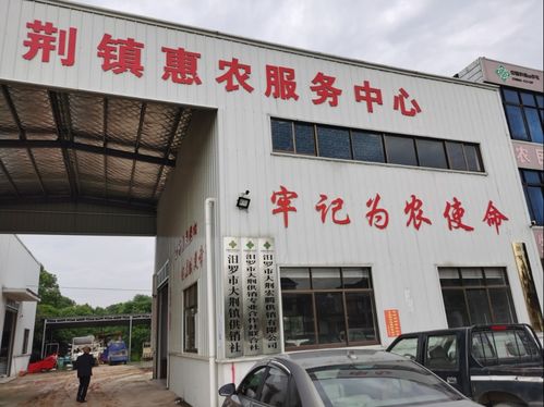 汨羅科技特派員 技術(shù)服務(wù)在田間