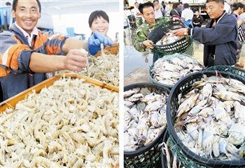 渤海休漁結束，開海喜迎豐收