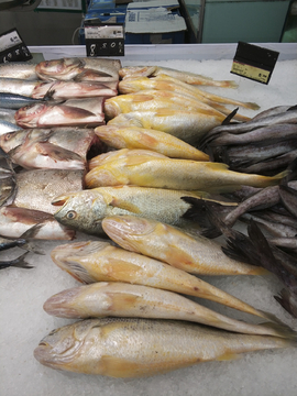 冷凍鮮魚 現(xiàn)代水產(chǎn)品消費(fèi)的新趨勢(shì)