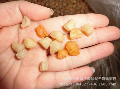 北海干貝瑤柱 一手貨源的漁民直達(dá)營養(yǎng)之選