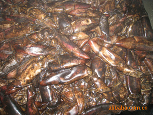 船凍紅魷魚 價(jià)格、廠家與粗加工水產(chǎn)品市場解析
